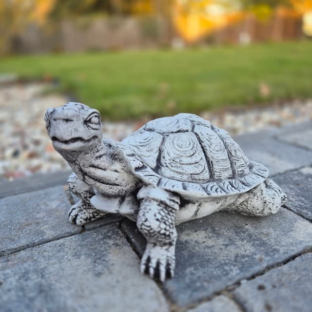 Turtle Little Turtle Ornament Decoration