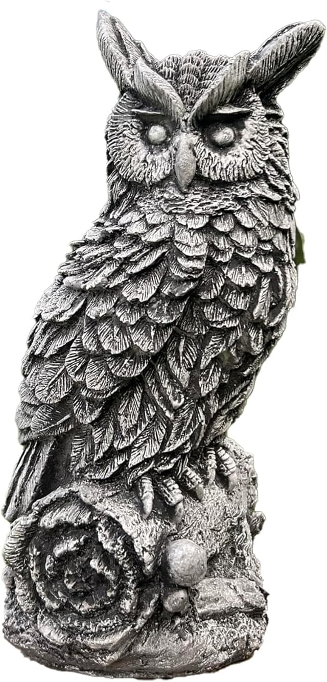 Owl on AST, left side