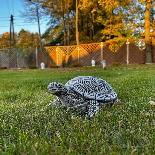 Turtle, little turtle