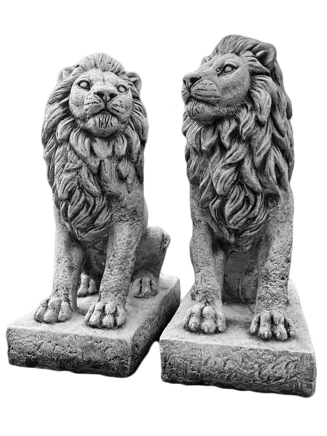 Lions based on a set: left lion and right lion