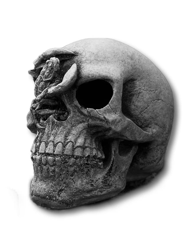 SCORPIO Skull Decorative Frost-Resistant