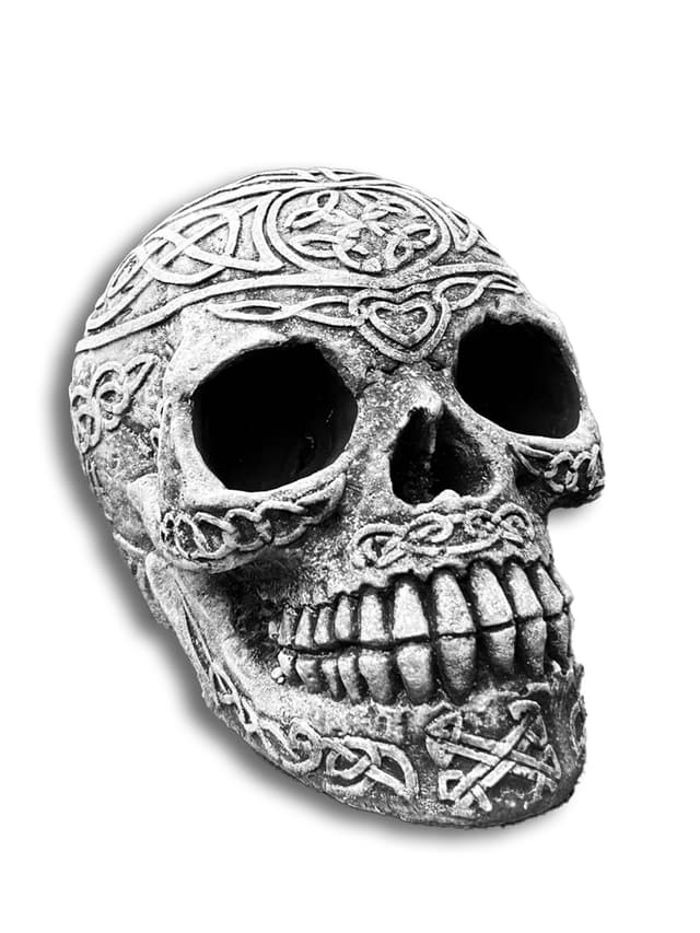 Halloween Skull